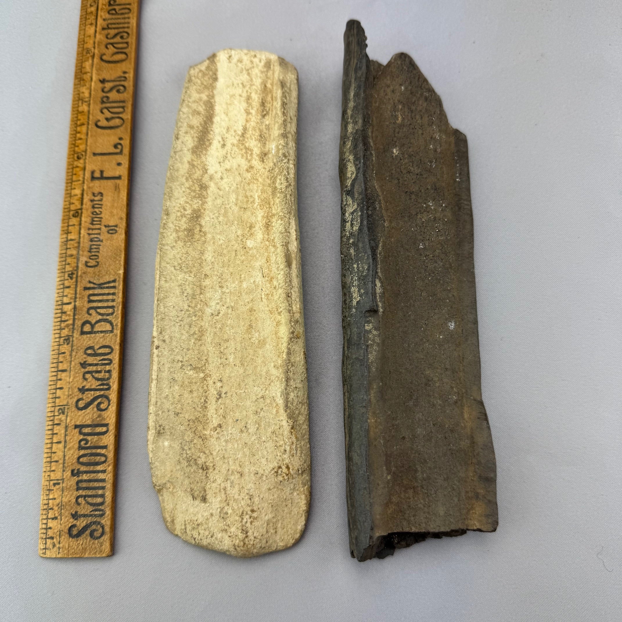 Fossil Walrus Beach Washed Ivory Pieces Lot 50