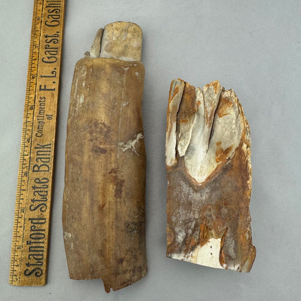 Mammoth Ivory Mixed Pieces Lot  66