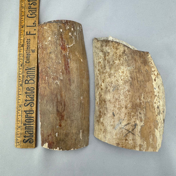 Mammoth Ivory Bark Lot- 36