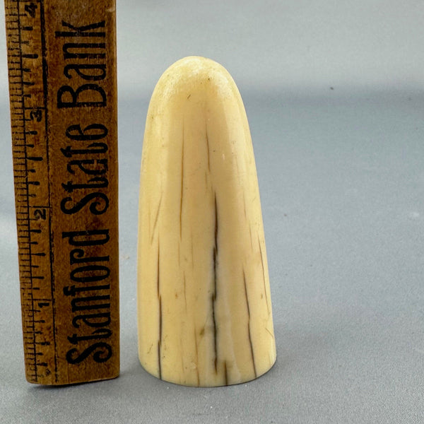 Fossil Walrus Ivory Tusk Tip 41