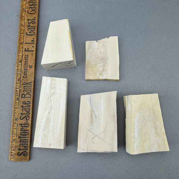 Mammoth Ivory Chunky Lot 64 