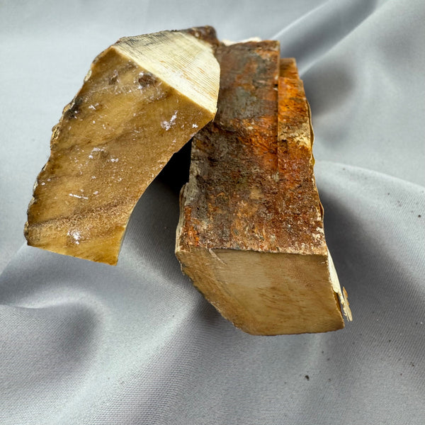 Mammoth Ivory Thick Bark Lot 33 - Sold 9.14.25 | Boone Trading Company