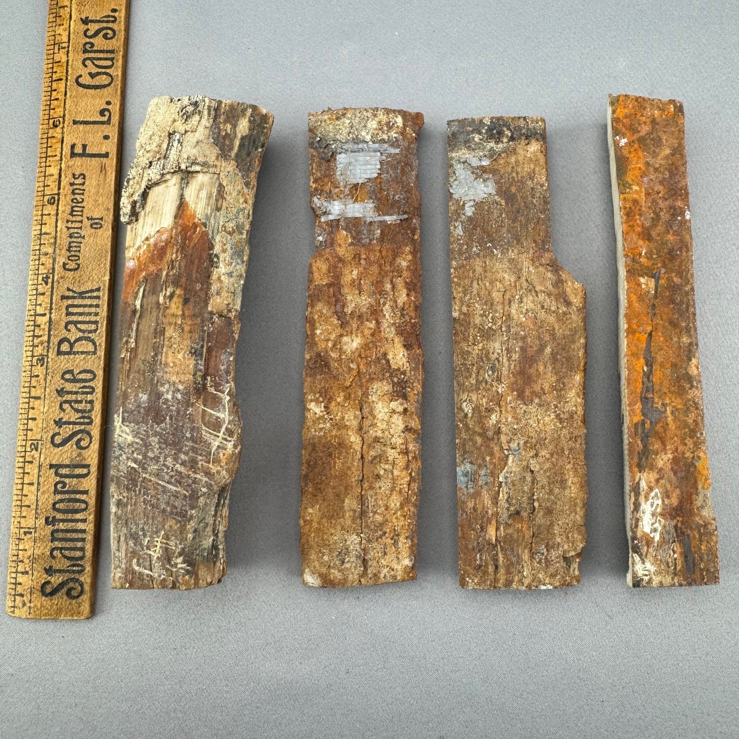 Mammoth Tusk Ivory Bark Layers - B
