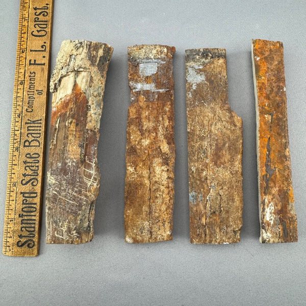 Mammoth Tusk Ivory Bark Layers - B