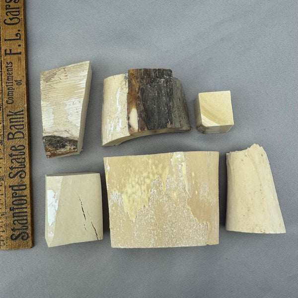 Mammoth Ivory Chunky Lot 40