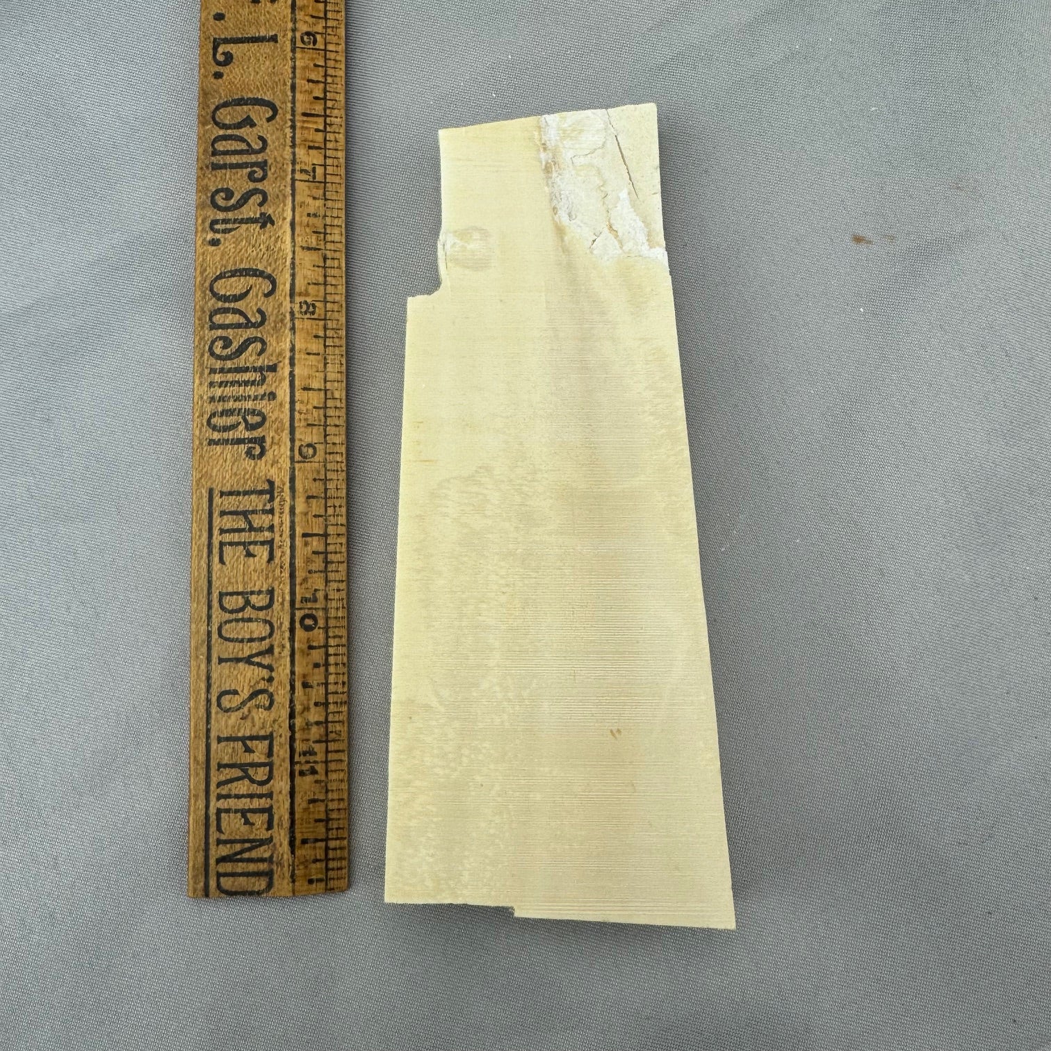 Mammoth Ivory Slab Lot 39