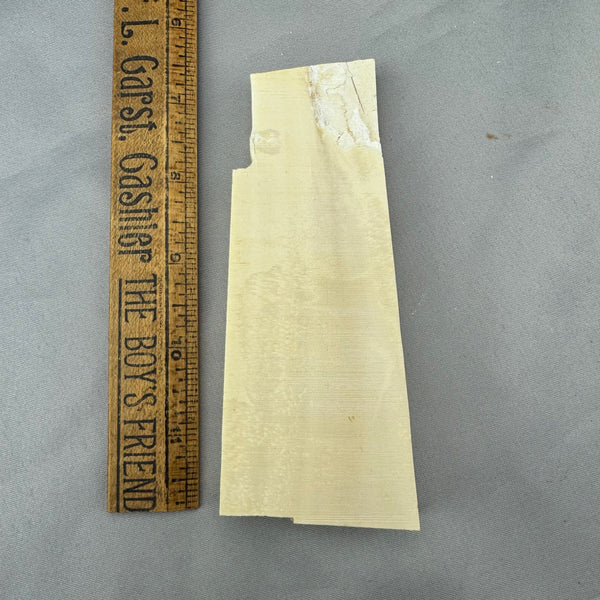 Mammoth Ivory Slab Lot 39
