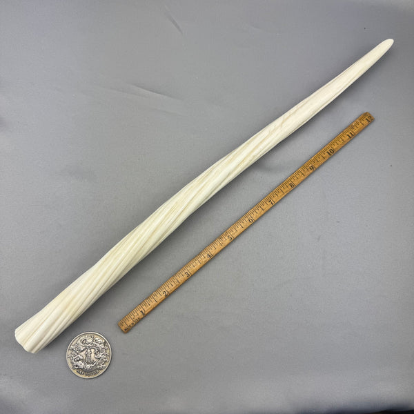 Pre 1972 Narwhal Ivory Polished Tusk Tip "Wand" 