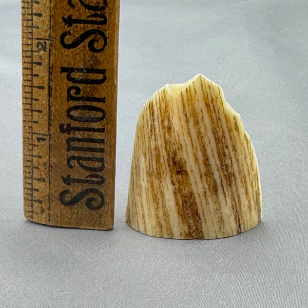 Narwhal Ivory Polished Tusk piece 26