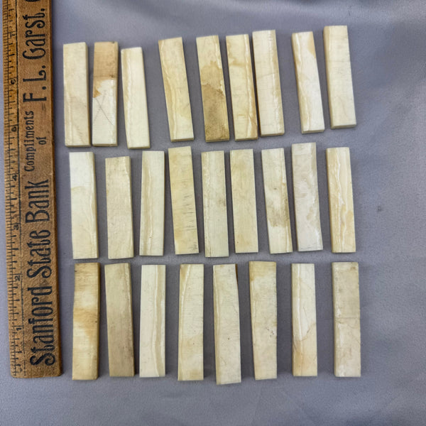Narwhal Ivory Flat Tusk Pieces  ( We Pick) NEW!