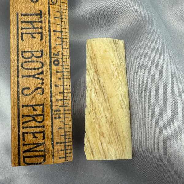 Narwhal Ivory Tusk Section Wedge 22