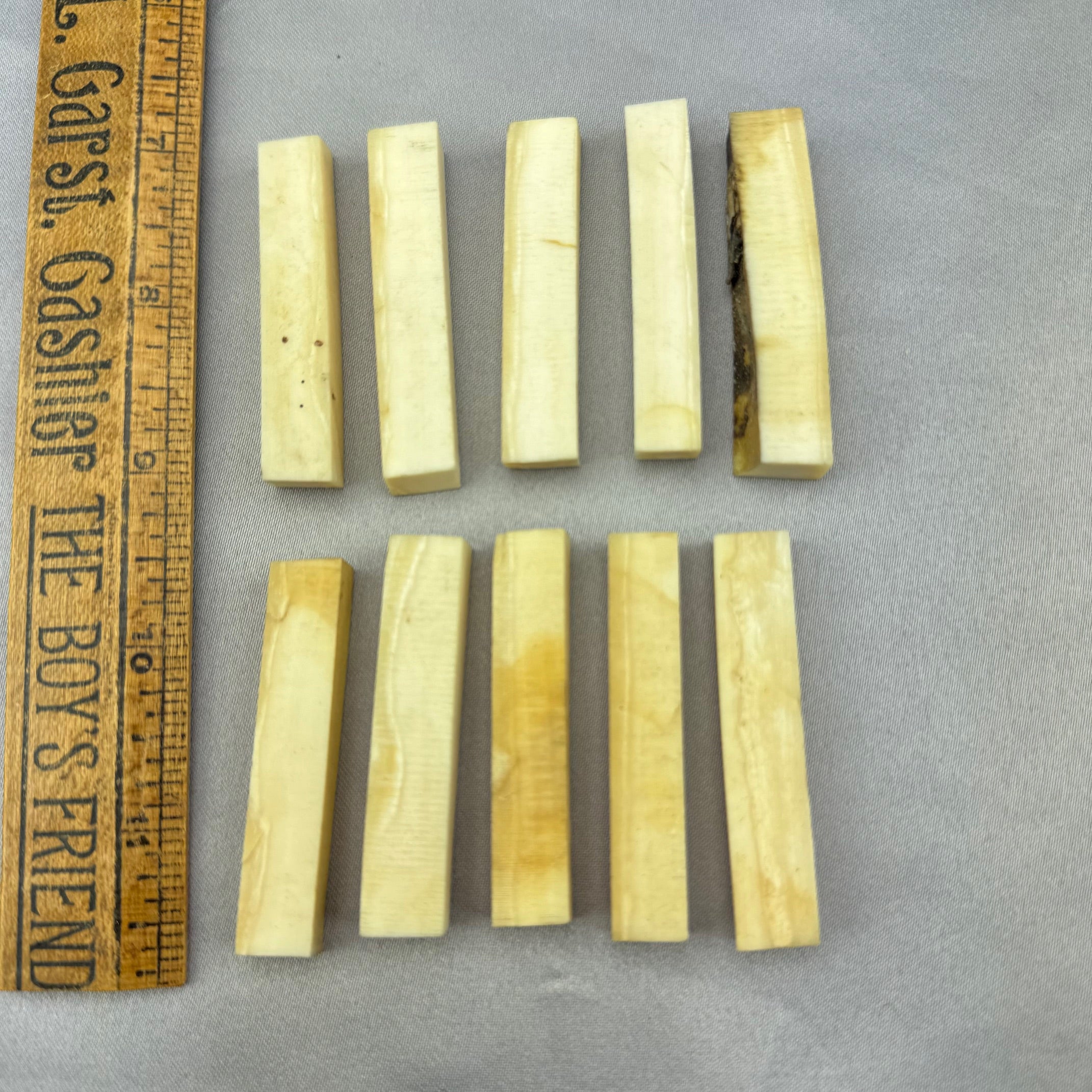 Narwhal Ivory Flat Tusk Pieces  A (Our Pick)