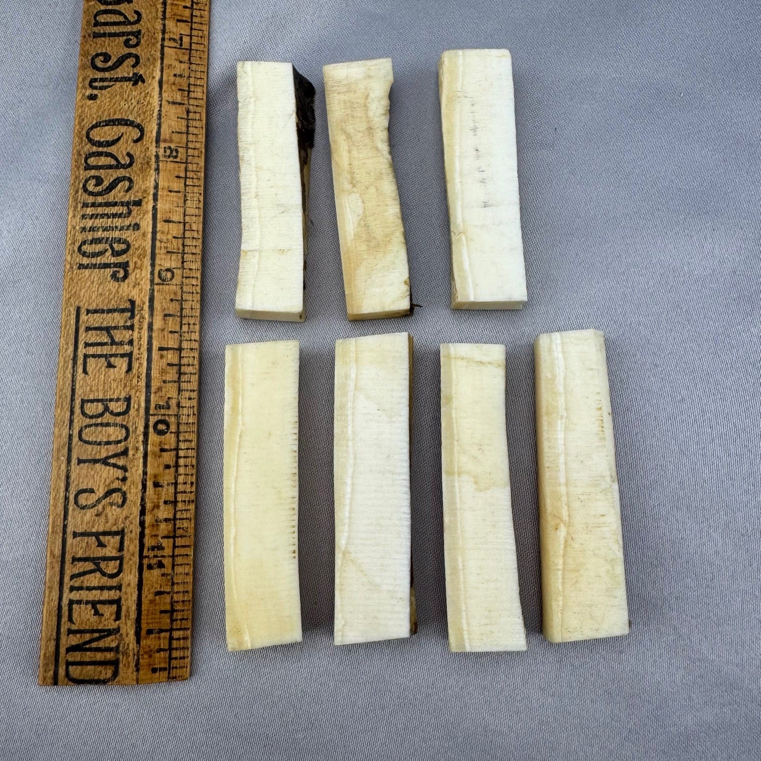 Narwhal Ivory Flat Rectangles (B) ( We Pick)