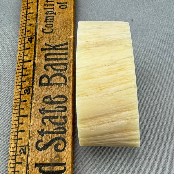 Narwhal Ivory Polished Tusk Section 19