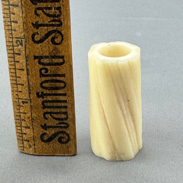 Narwhal Ivory Tusk Section 02