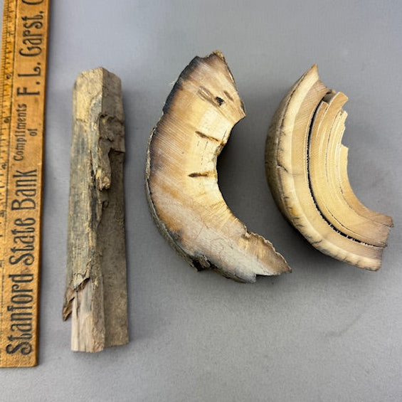 Mammoth Ivory Chunky Lot 40