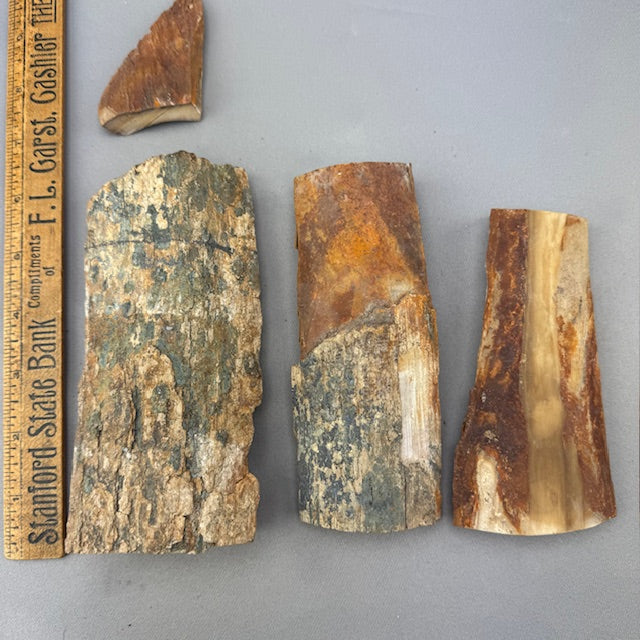 Mammoth Tusk Ivory Bark Layers - B