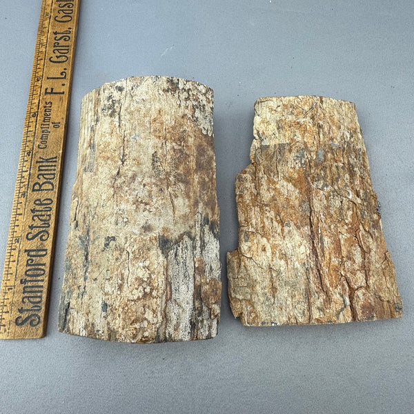 Mammoth Ivory Chunky Lot 01