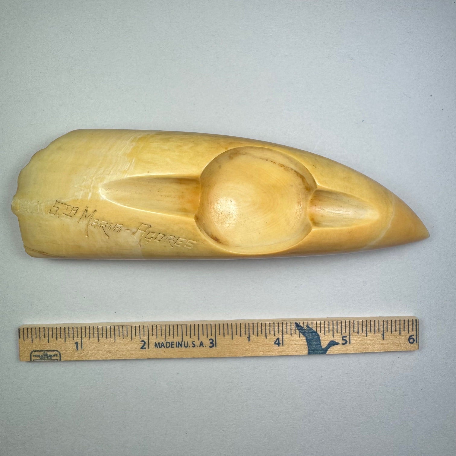 Large Azores Sperm Whale Tooth pre 1972 Carved Ash Tray