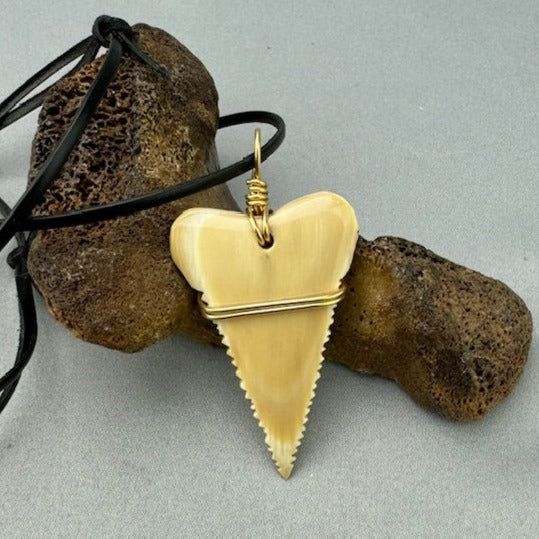 Mammoth Ivory Carved Shark Tooth Pendant with GF Wrap - 03