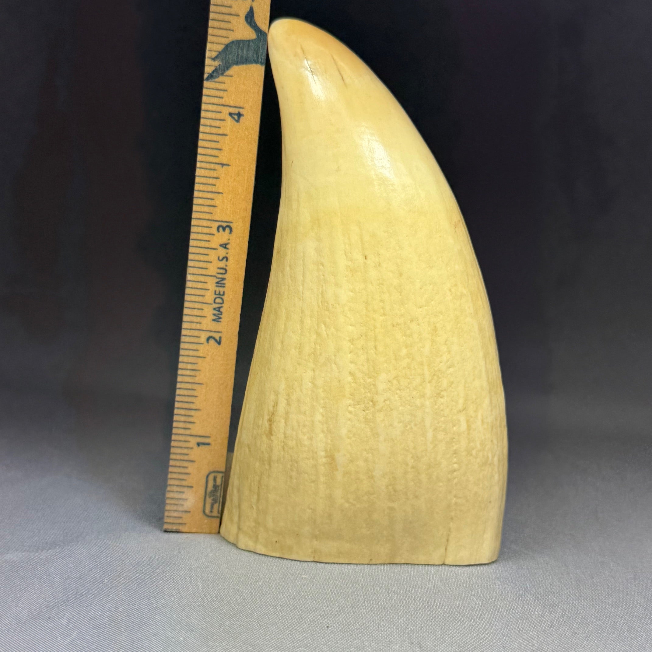 Nice pre 1972 Sperm Whale Tooth - Sold 9.27.25