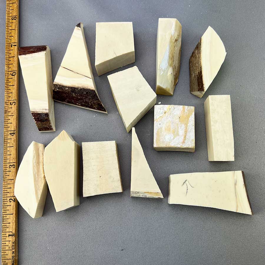 Mammoth Ivory Chunky Lot 41