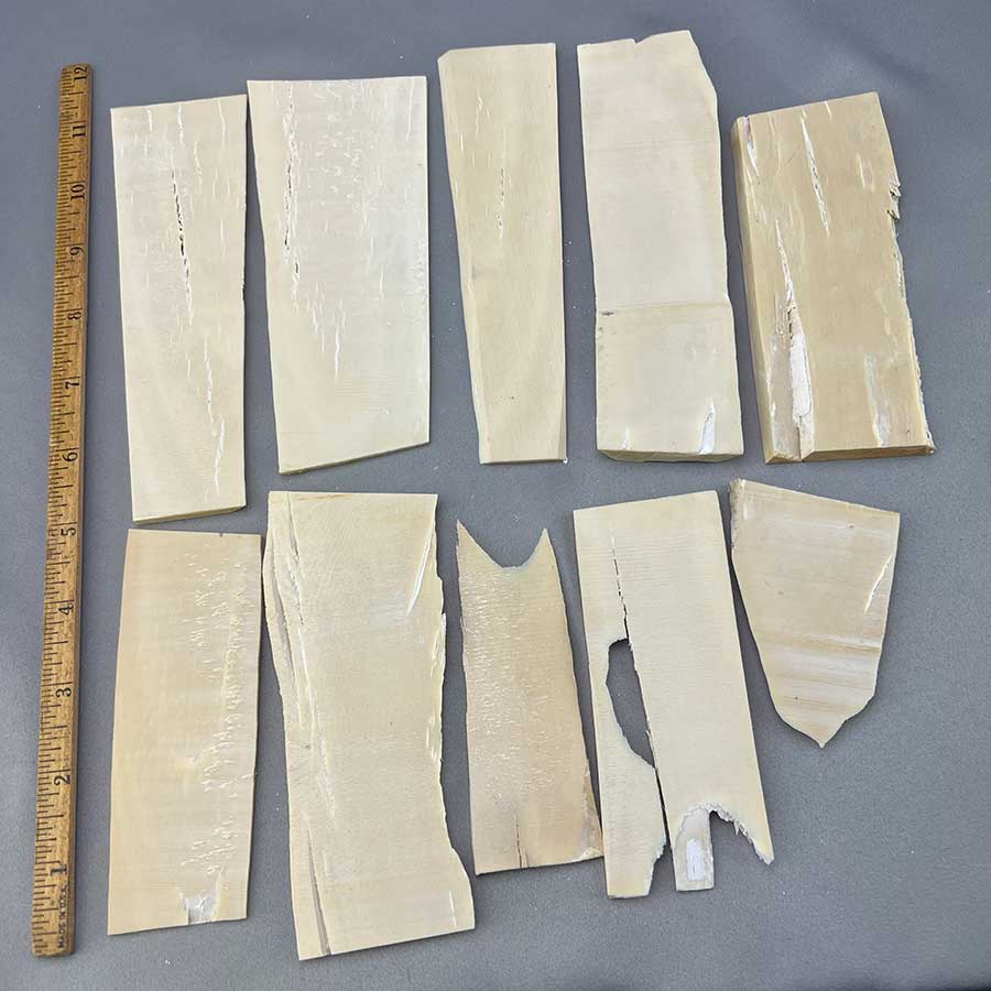 Mammoth Ivory Thick Slab Lot 33