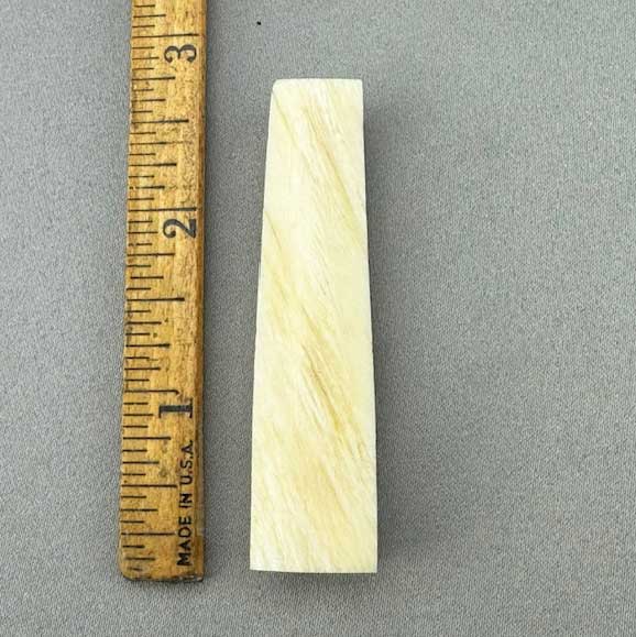 Narwhal Ivory Polished Tusk Section Wedge 35