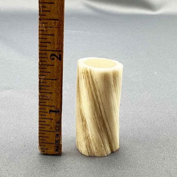 Narwhal Ivory Tusk Section 02