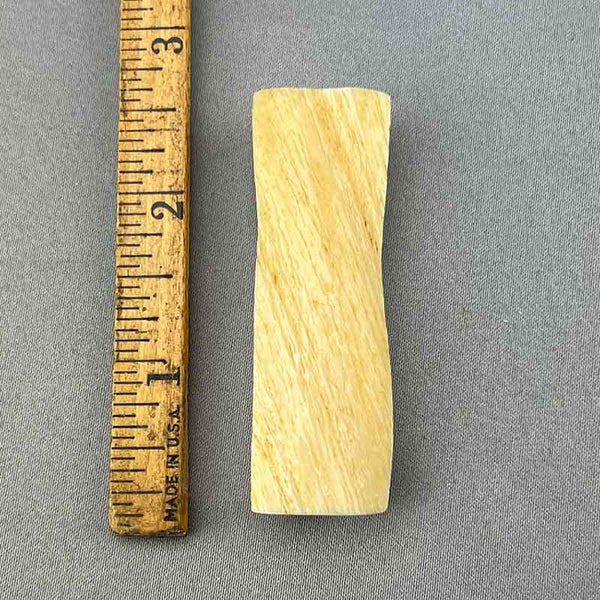 Narwhal Ivory Tusk Section Wedge 22 