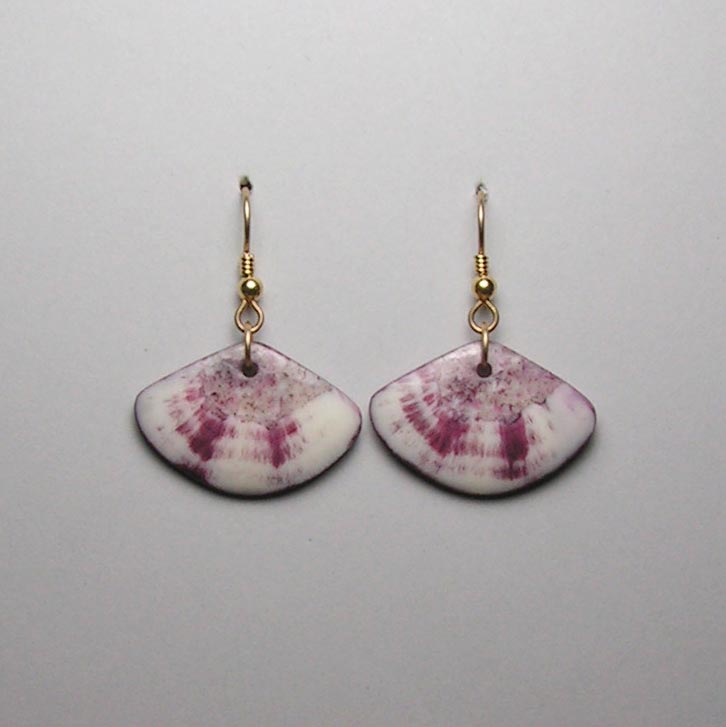 Fossil Walrus Gemtone Earrings Pair