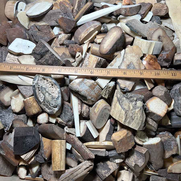 Fossil Walrus Ivory Pieces Lot 20
