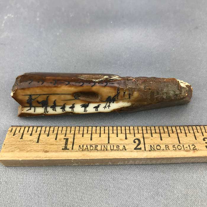 Fossil Walrus Scrimshawed Pictograph Artifact 11