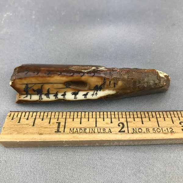 Fossil Walrus Scrimshawed Pictograph Artifact 11