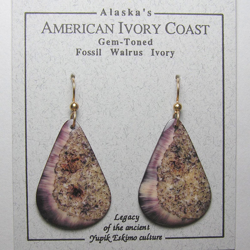 Fossil Walrus Gemtone Earrings Pair 40